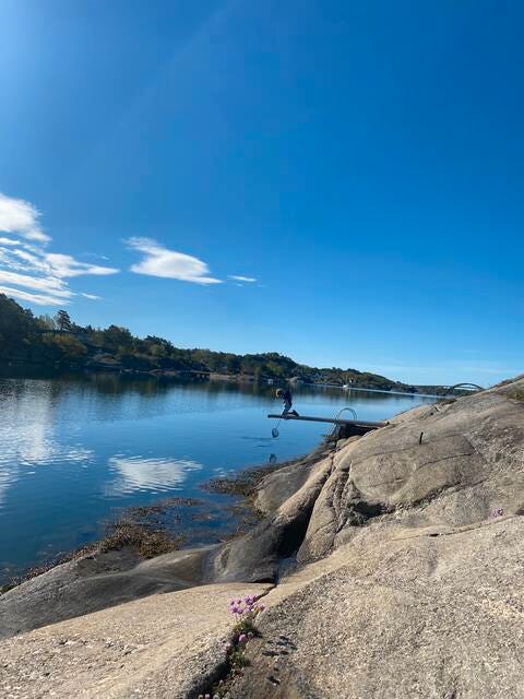 Bilde 1 av annonsen