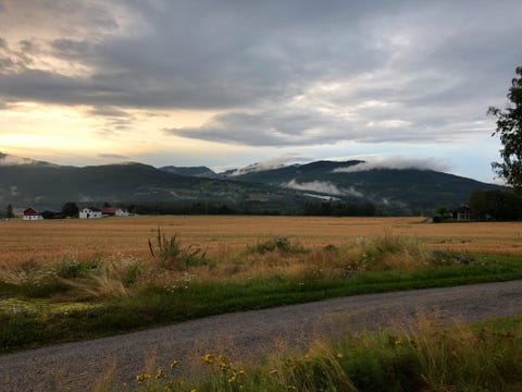 Bilde 1 av annonsen