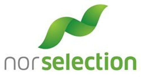 Administrerende direktør logo