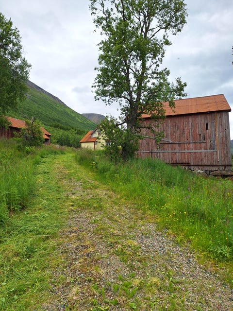 Bilde 2 av annonsen