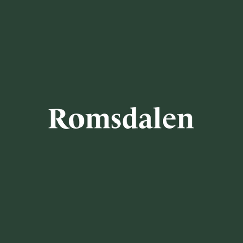 Romsdalen AS-logo