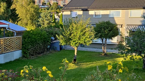 Bilde 2 av annonsen