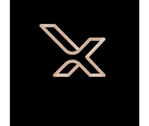 X Hårstudio-logo