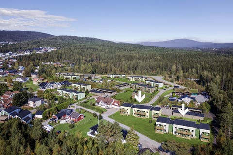 Bilde 1 av annonsen