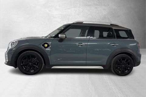 Bilen er i den fargen Sage Green