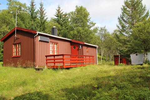 Bilde 1 av annonsen
