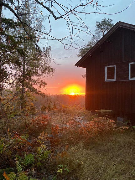 Bilde 2 av annonsen