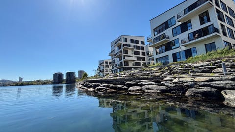 Bilde 1 av annonsen