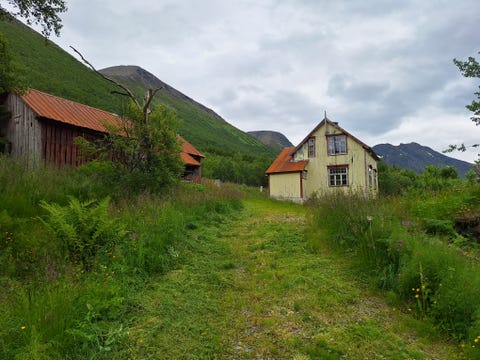 Bilde 1 av annonsen