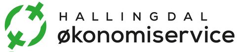 Hallingdal Økonomiservice AS-logo