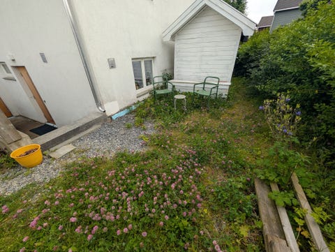 Bilde 2 av annonsen