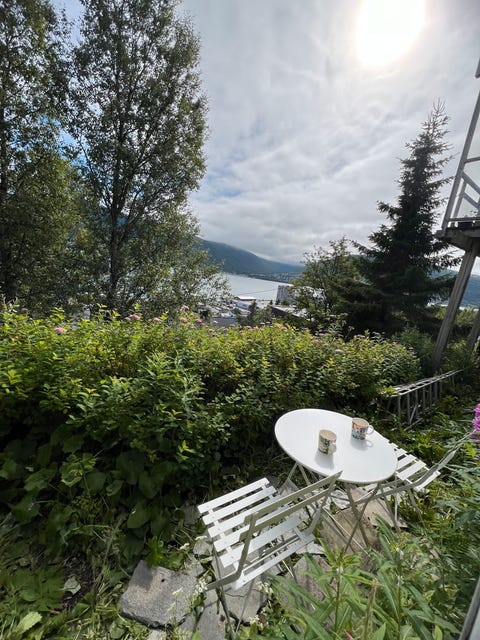Bilde 2 av annonsen