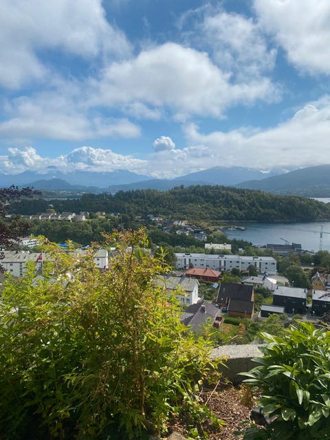 Bilde 2 av annonsen