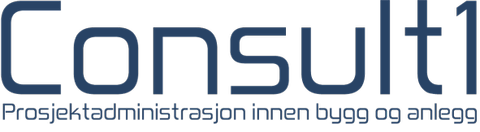 CONSULT1 AS logo
