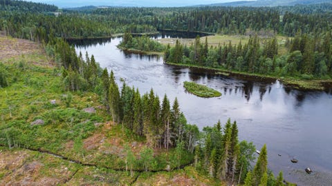 Bilde 1 av annonsen