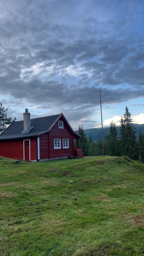 Bilde 1 av annonsen