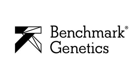 BENCHMARK GENETICS NORWAY AS logo