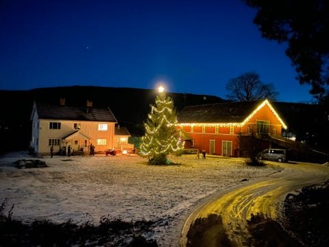 Bilde 2 av annonsen