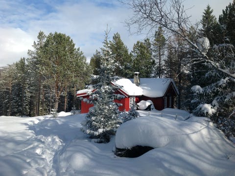 Bilde 1 av annonsen