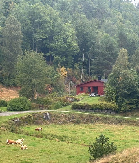 Bilde 1 av annonsen
