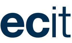 ECIT Business Partner as logo