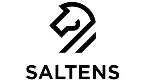 Saltens Gruppen logo