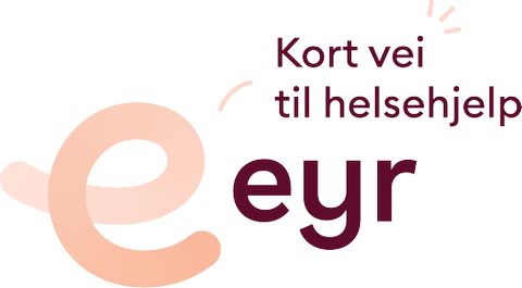 Eyr Medical AS-logo