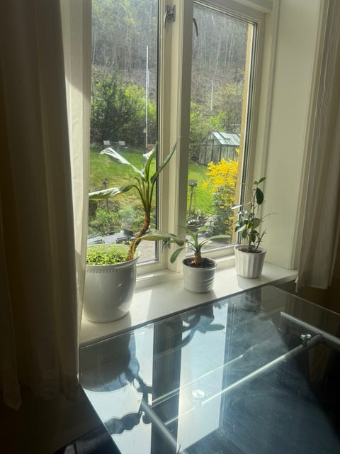 Bilde 2 av annonsen