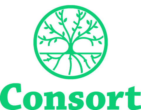 Consort AS logo