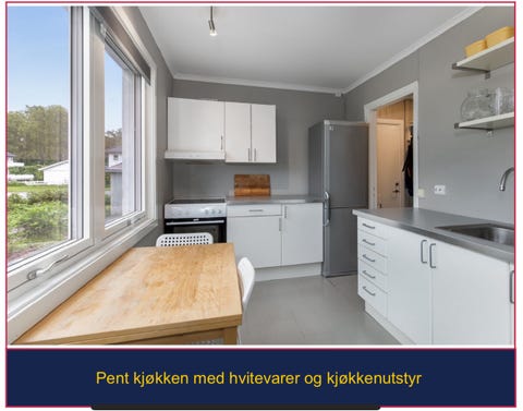 Bilde 1 av annonsen