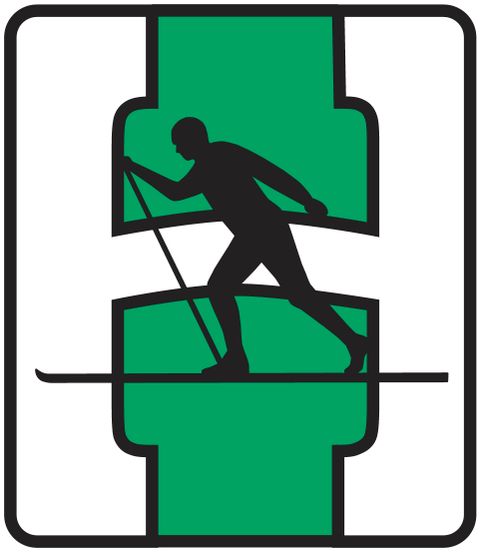 HEMING IDRETTSLAGET logo