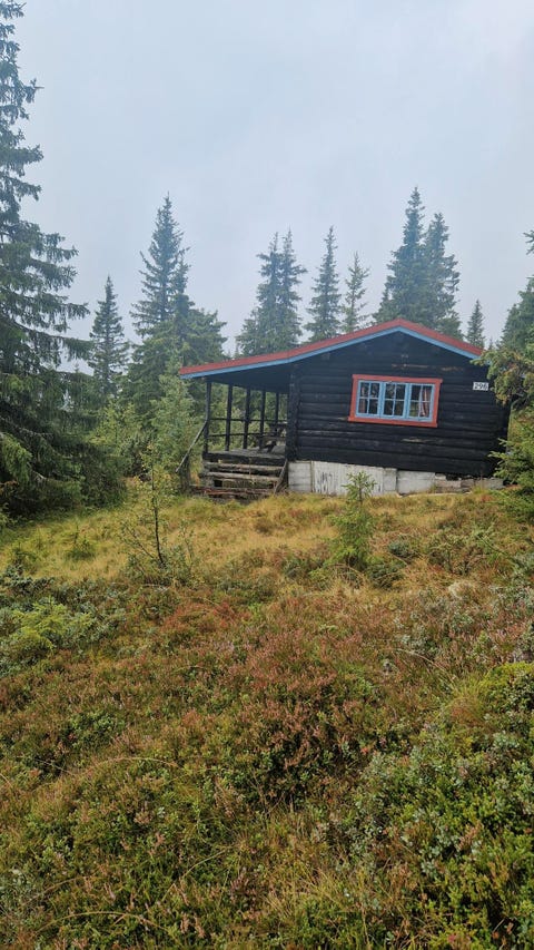 Bilde 1 av annonsen