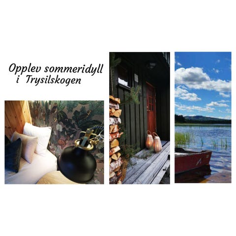 Bilde 2 av annonsen