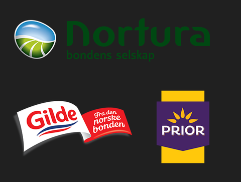 NORTURA SA logo