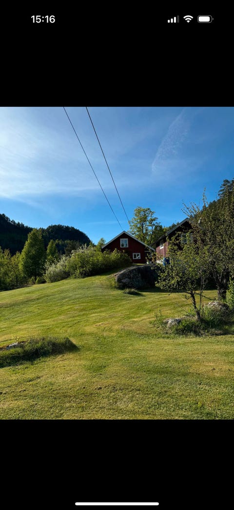 Bilde 1 av annonsen
