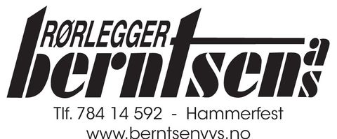 Rørlegger Berntsen-logo