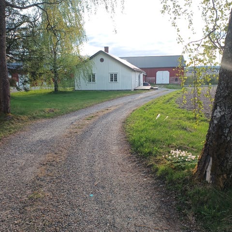 Bilde 2 av annonsen