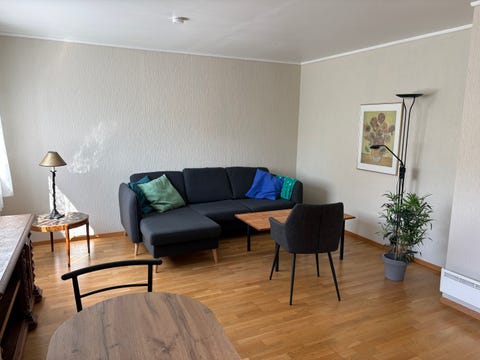 Bilde 2 av annonsen