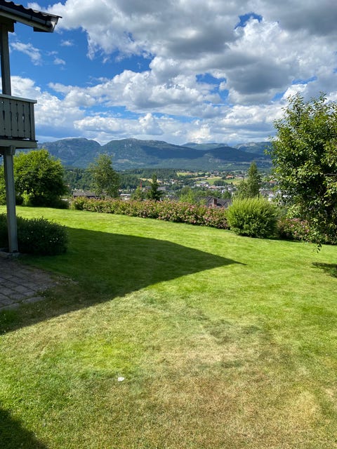 Bilde 2 av annonsen