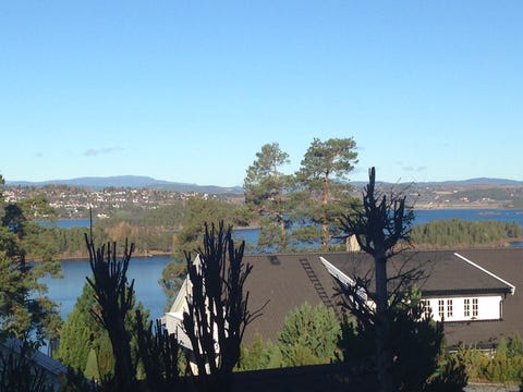 Bilde 1 av annonsen