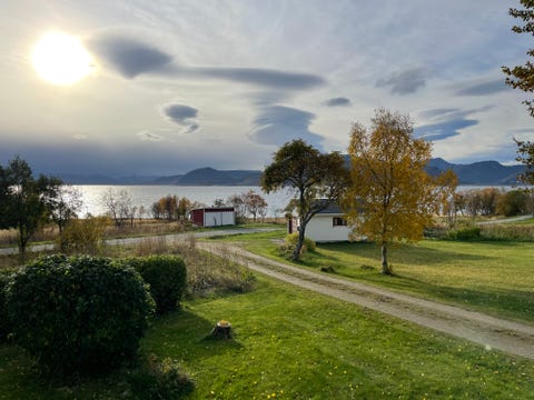 Bilde 2 av annonsen