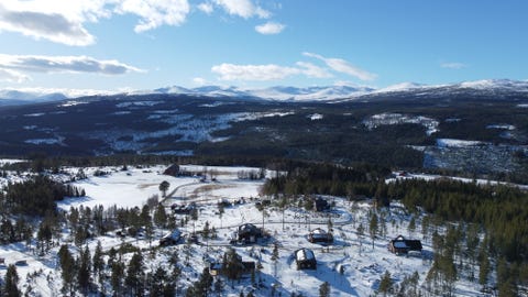 Bilde 1 av annonsen