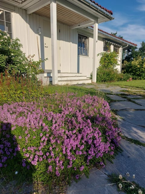 Bilde 2 av annonsen