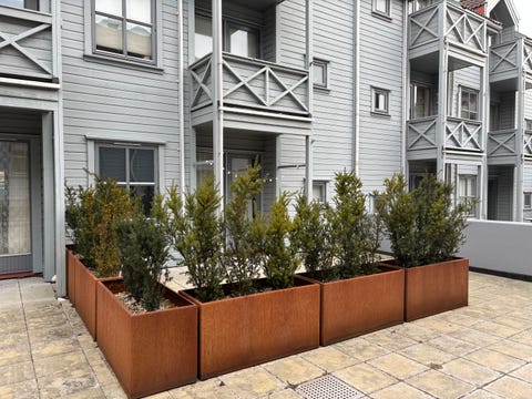 Bilde 2 av annonsen