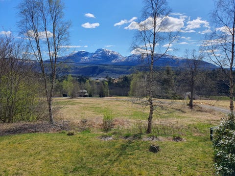 Bilde 2 av annonsen