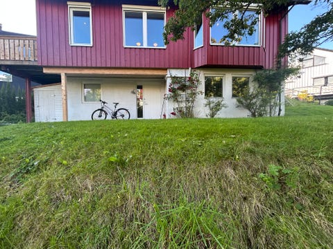 Bilde 1 av annonsen
