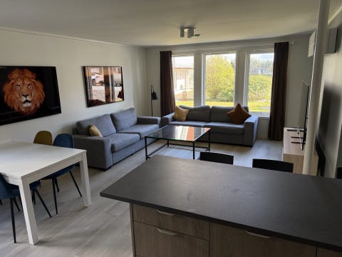 Bilde 2 av annonsen