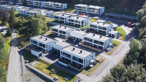 Bilde 1 av annonsen