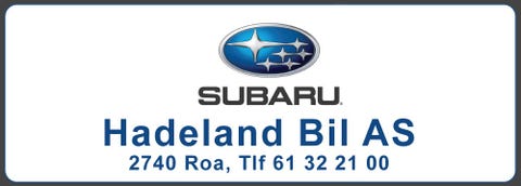 Hadeland Bil logo