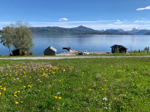 Bilde 1 av annonsen